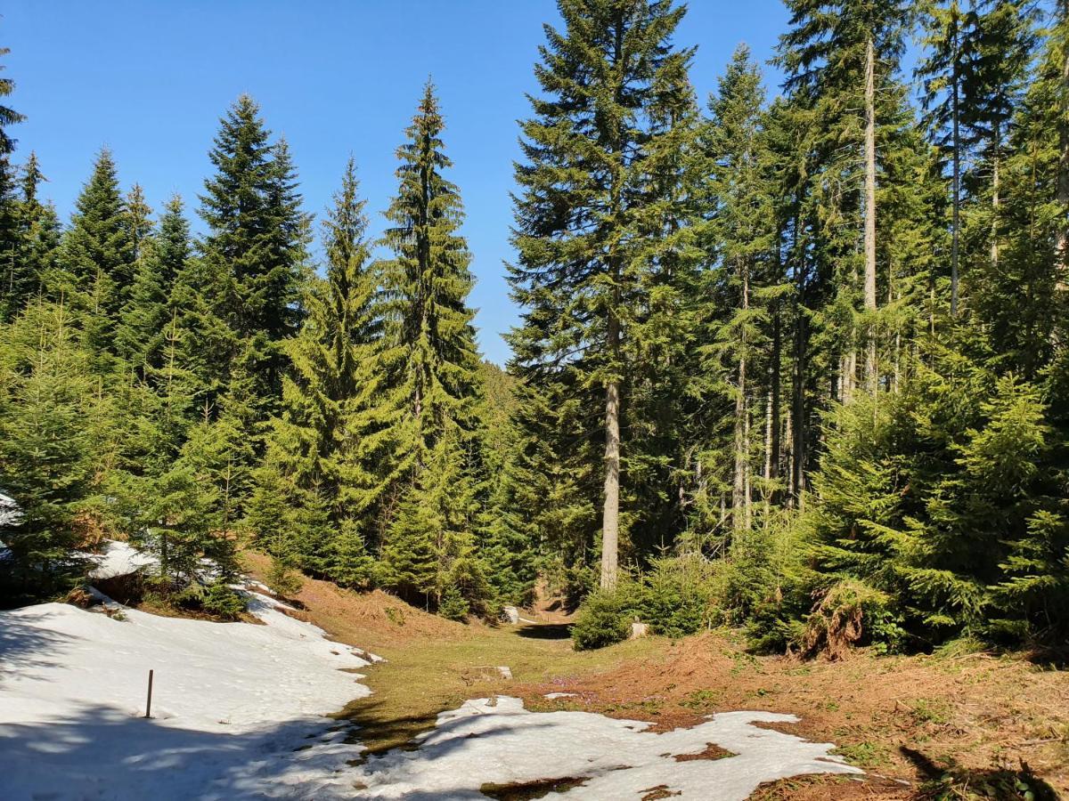 Zlatar Luxury Chalet - Trace Of Nature 2214 Nova Varoš المظهر الخارجي الصورة