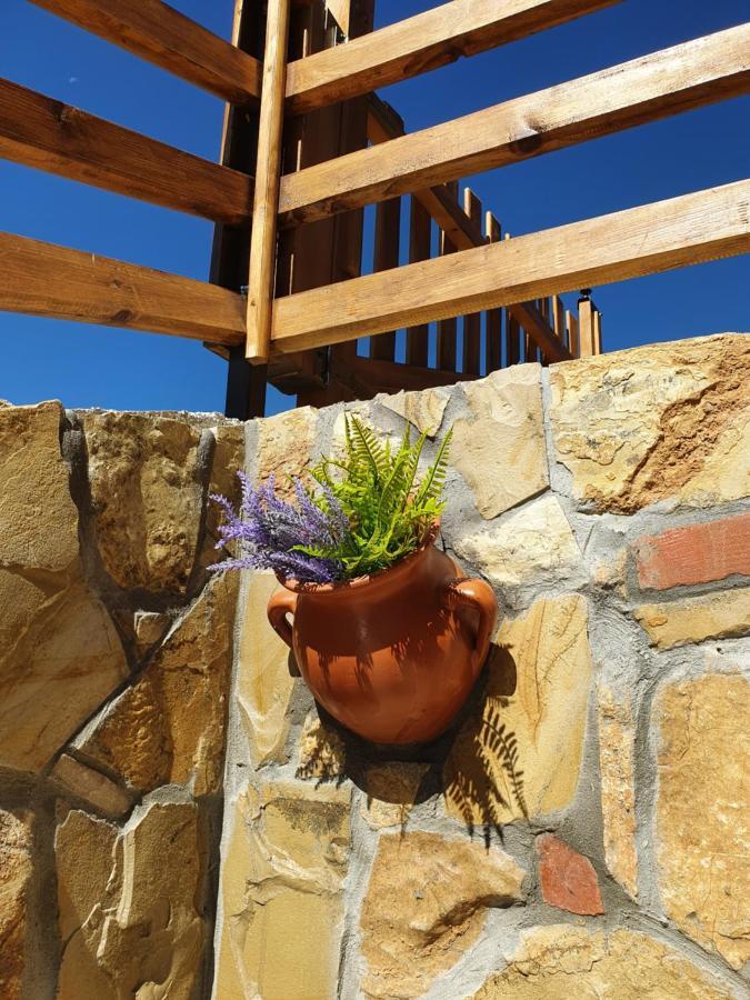 Zlatar Luxury Chalet - Trace Of Nature 2214 Nova Varoš المظهر الخارجي الصورة