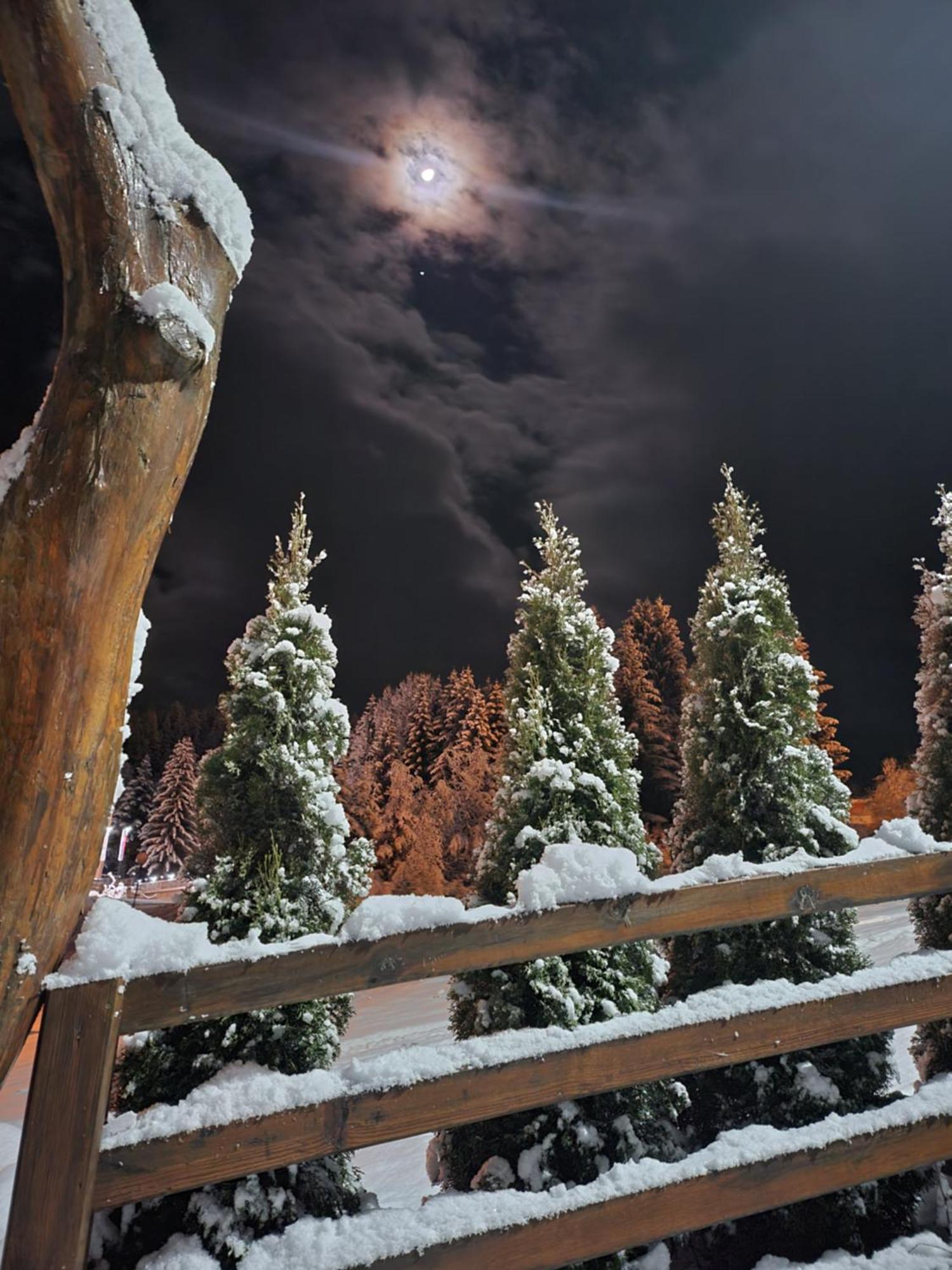 Zlatar Luxury Chalet - Trace Of Nature 2214 Nova Varoš المظهر الخارجي الصورة