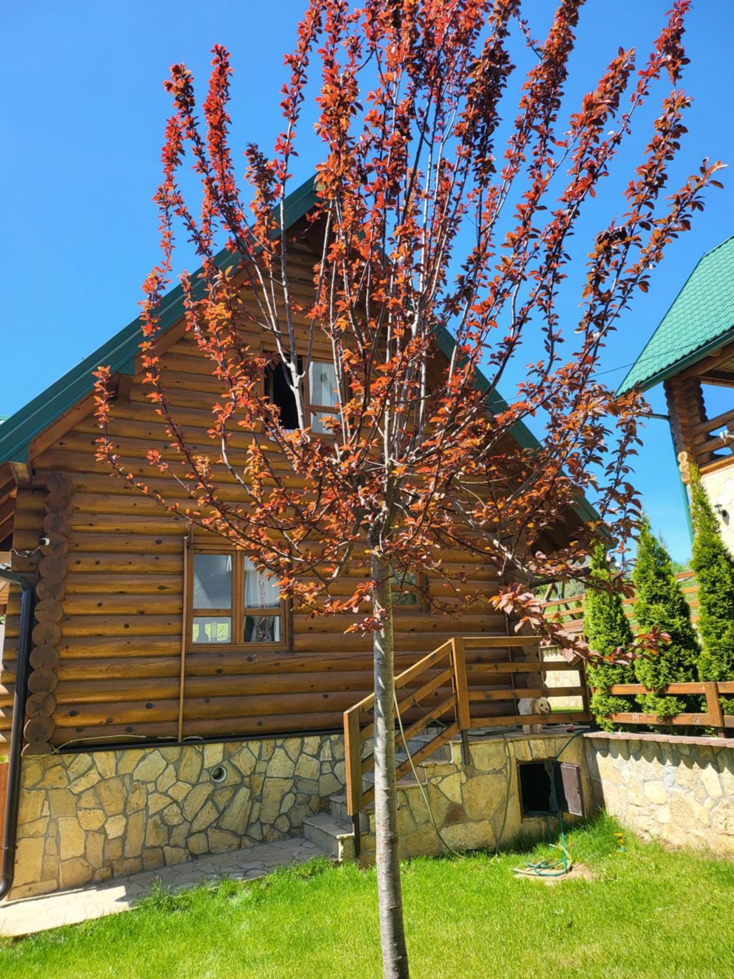 Zlatar Luxury Chalet - Trace Of Nature 2214 Nova Varoš المظهر الخارجي الصورة